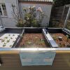 Kit aquaponique Symbiose - Avant