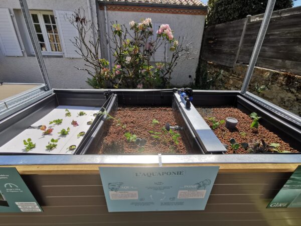 Kit aquaponique Symbiose - Avant