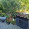 Jardin zen