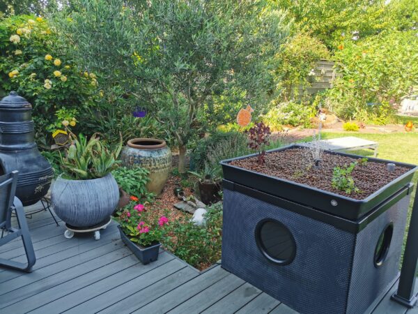 Jardin zen