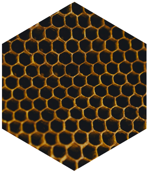 biomimétisme formes intelligentes
