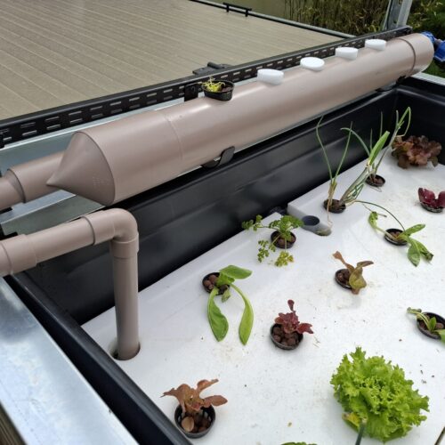 NFT aquaponie
