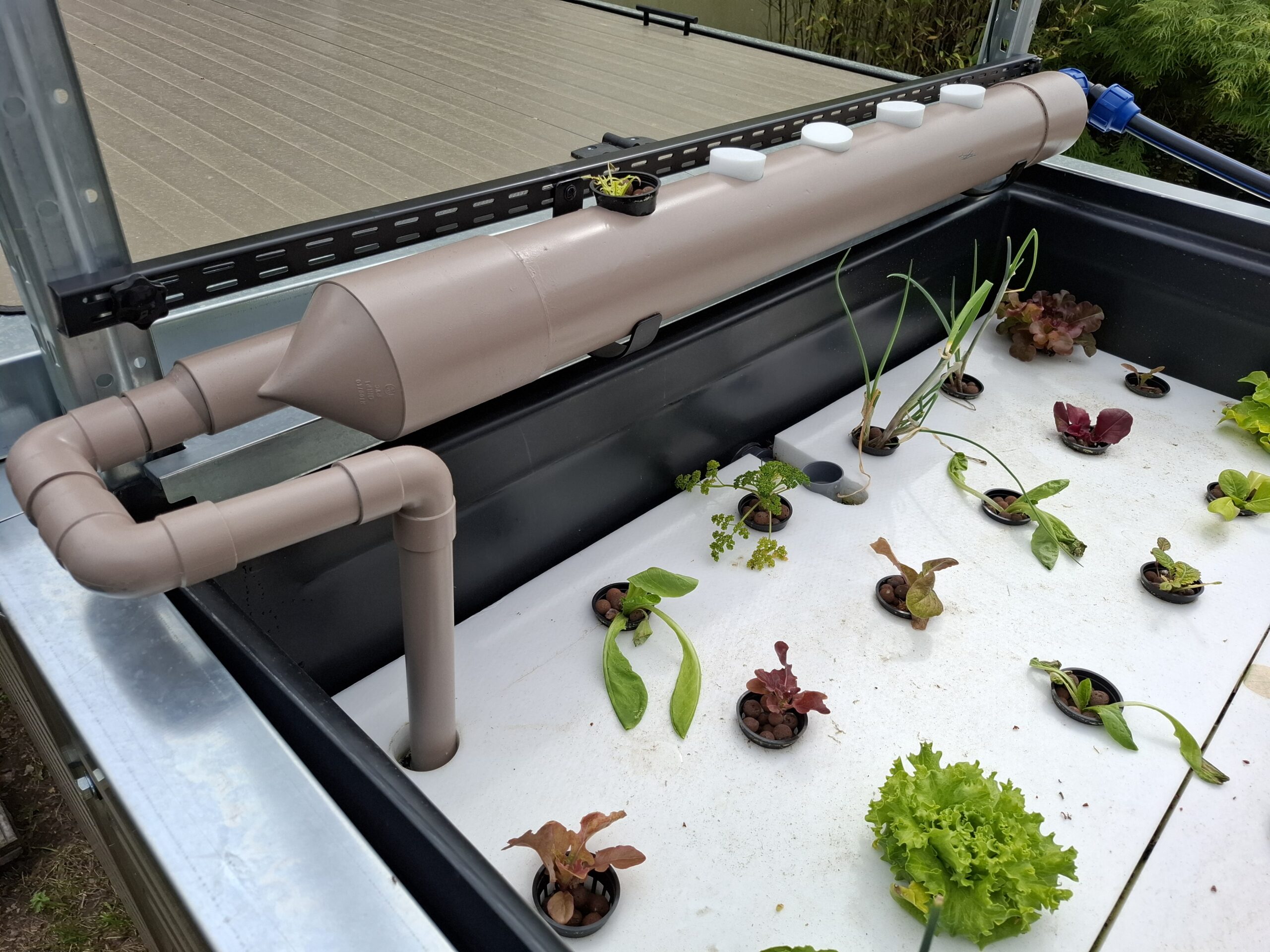 NFT aquaponie