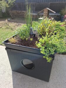 jardin potager