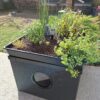 jardin potager