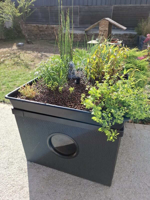 jardin potager