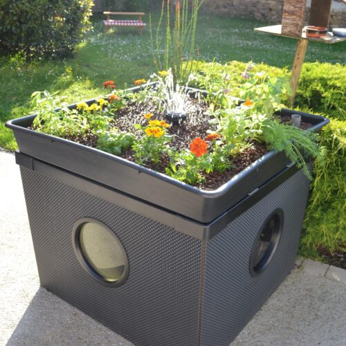 potager aquatique
