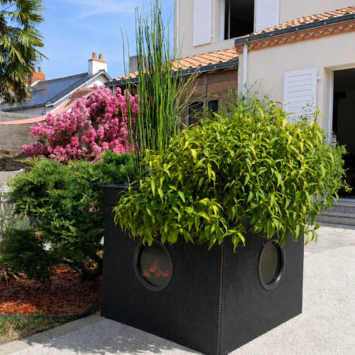NAPS_jardin aquaponie terasse