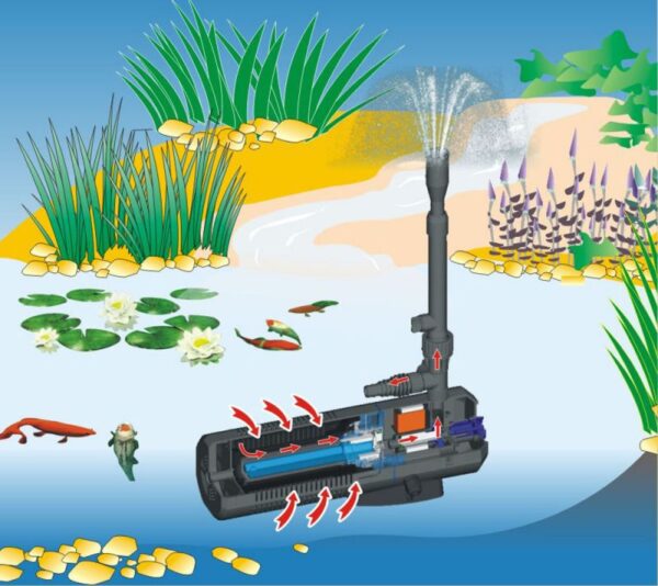 Pompe de bassin 1000 l/h avec fontaine et filtre UV