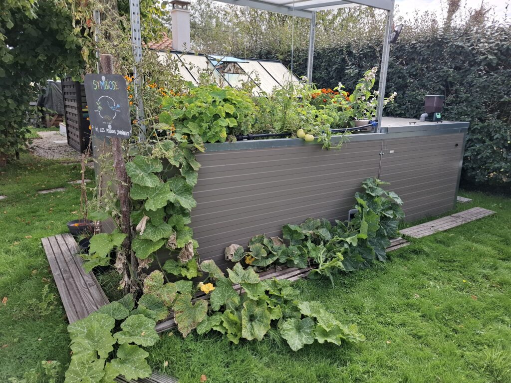 potager surélevé