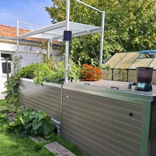 potager avec poissons