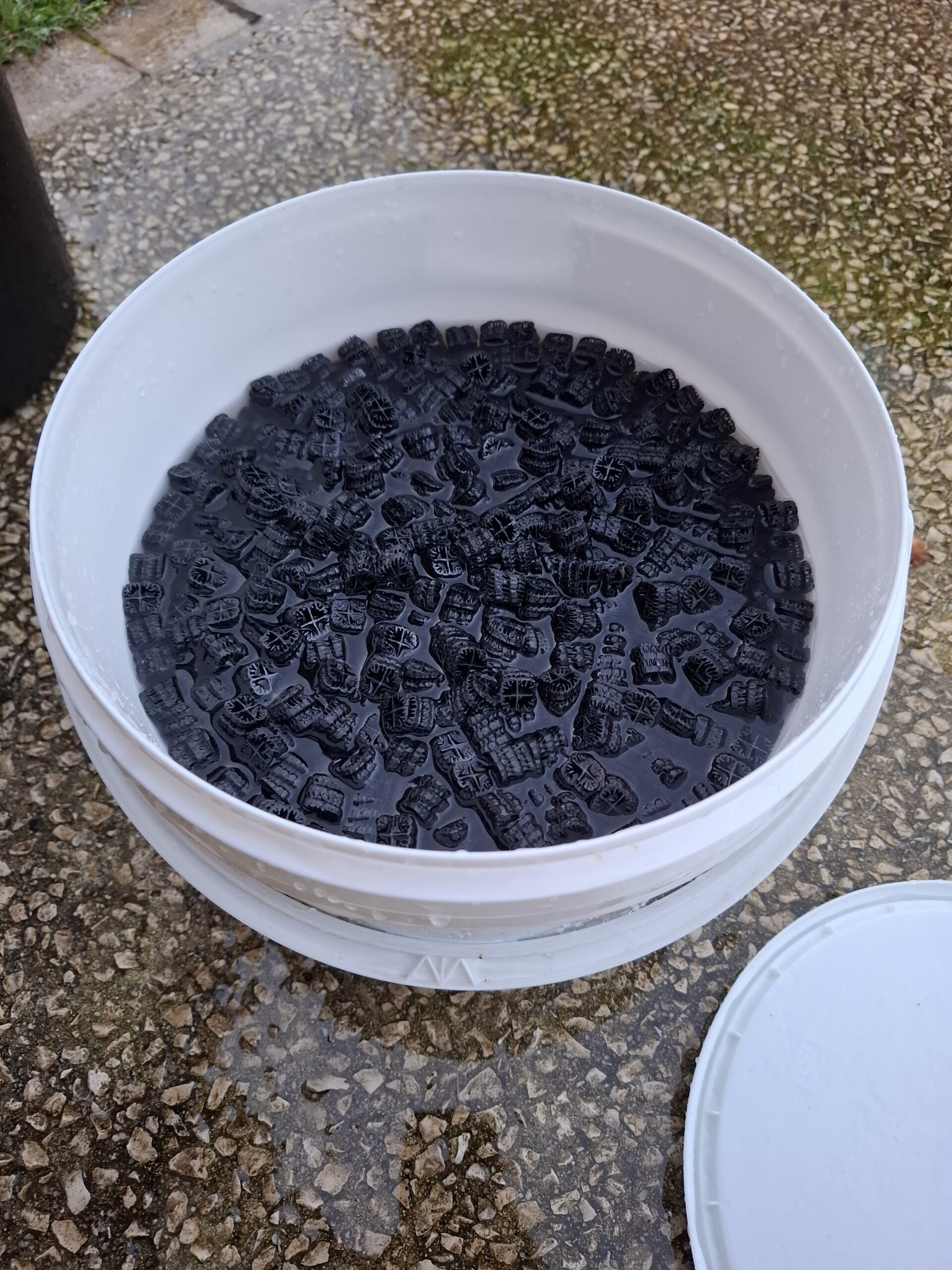 Média filtration bactéries aquaponie
