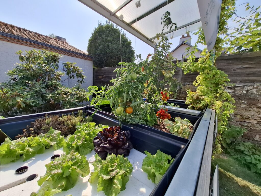 potager aquaponie