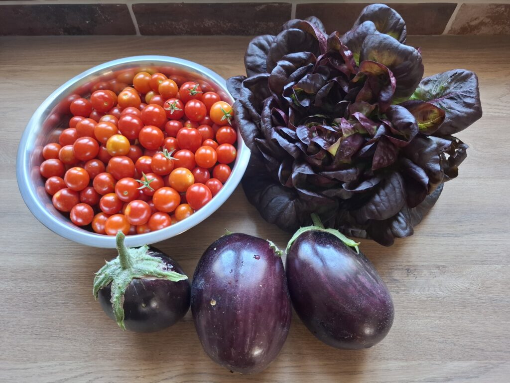 fruits et légumes aquaponie