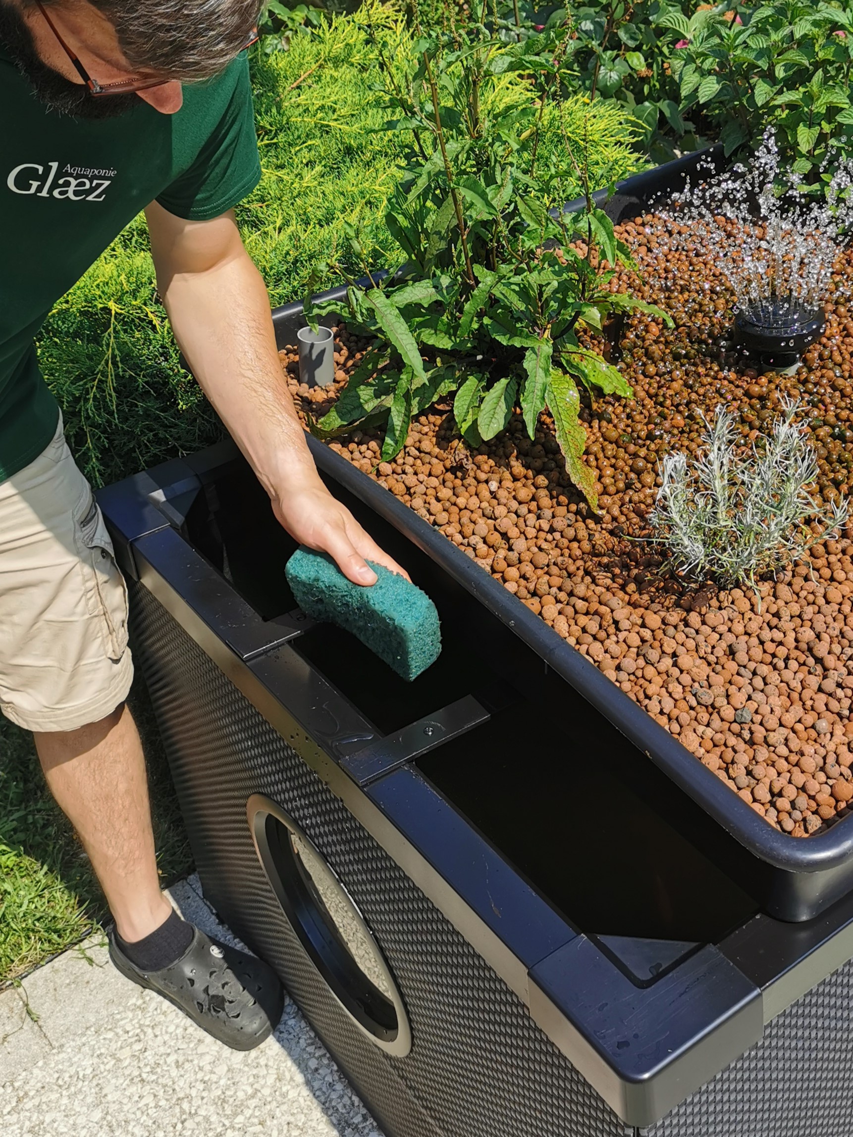 IMG_20240627_120244_copie