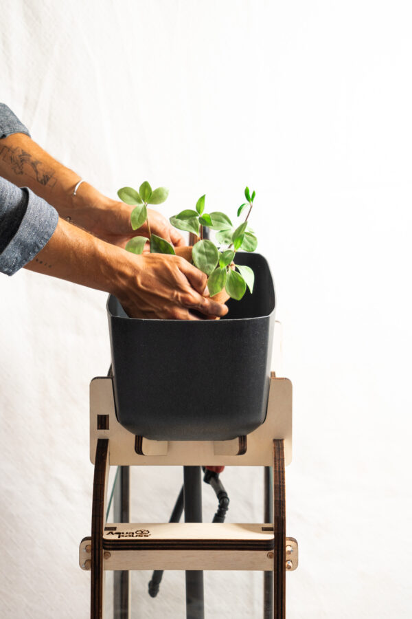 Plantation Aquapouss'Mini V2