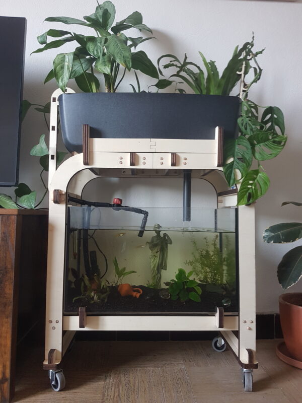 Poissons aquaponie pas cher