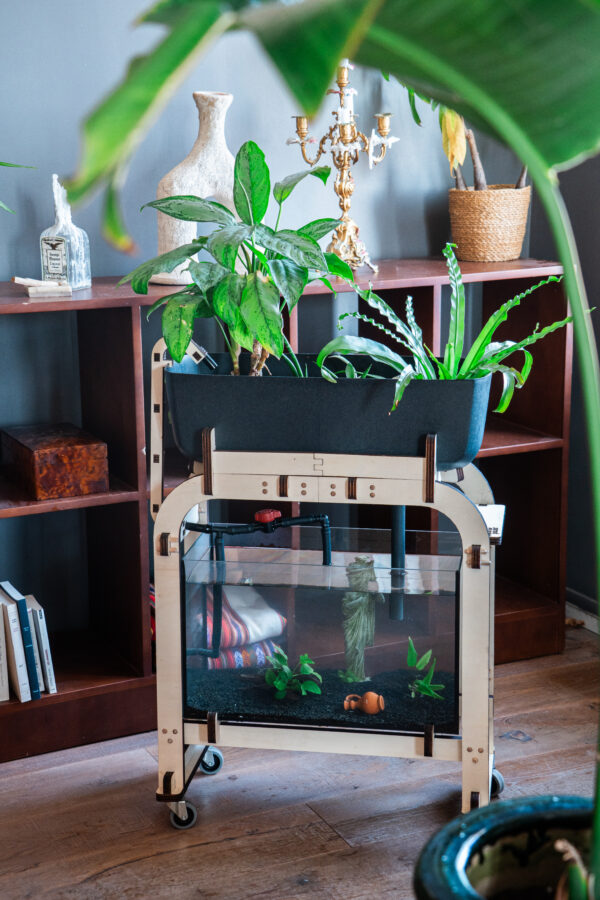 Univers 2 aquaponie salon