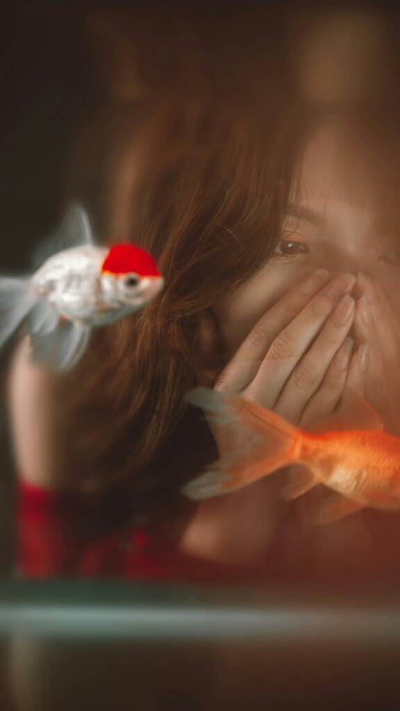 bien-être poisson aquaponie