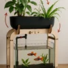 aquapouss_fonctionnement AQUAPOUSS