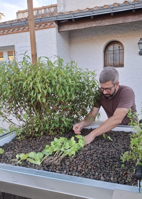 potager ergonomique