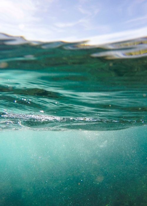 Visuels - Glæz Aquaponie - 3